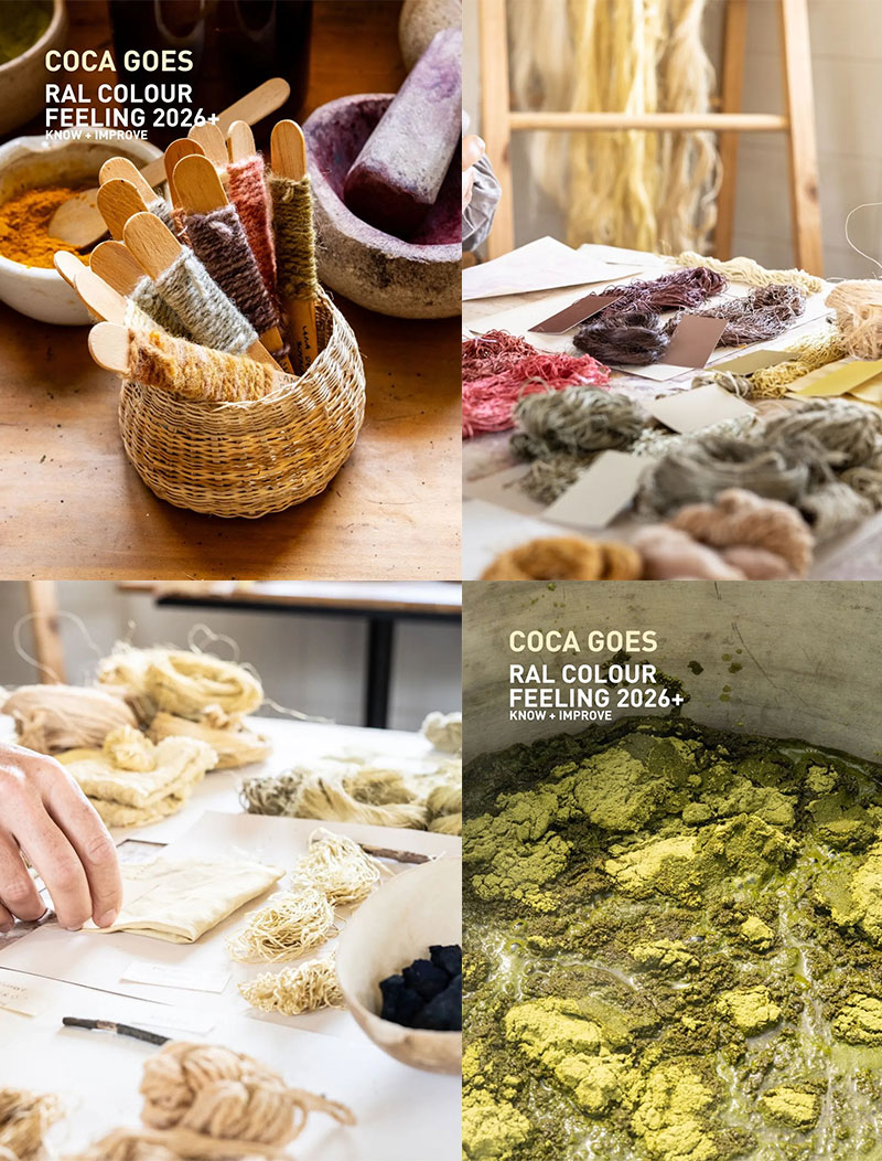 劳尔色彩趋势体验